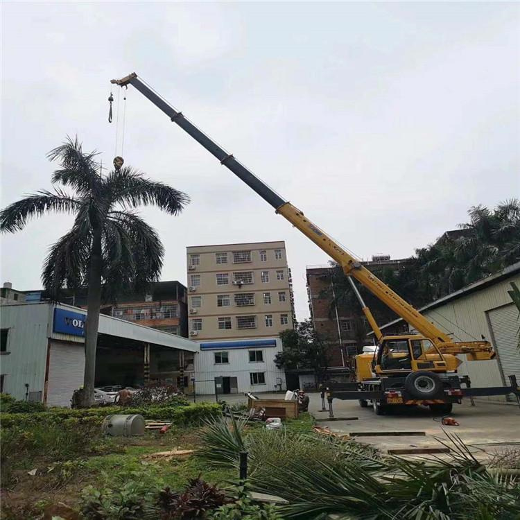 南头镇汽车吊出租多少钱？全面解析与市场行情